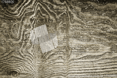 Image of Old wood texture