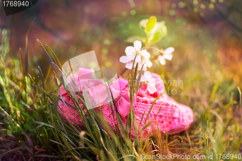 Image of baby shoes