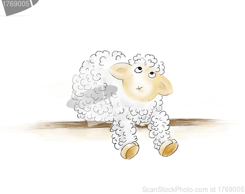 Image of wondered sheep