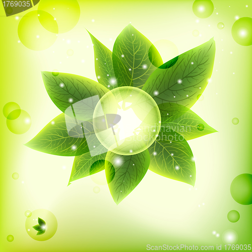 Image of bright fresh green leaves  background