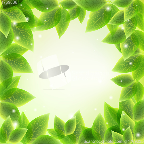 Image of bright fresh green leaves  background