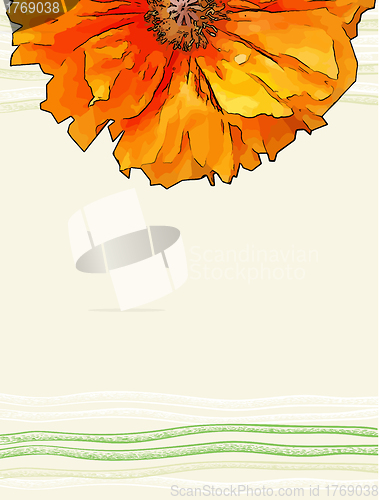 Image of vector background with red poppy flower