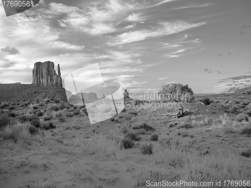 Image of Summer in the Monument Valley