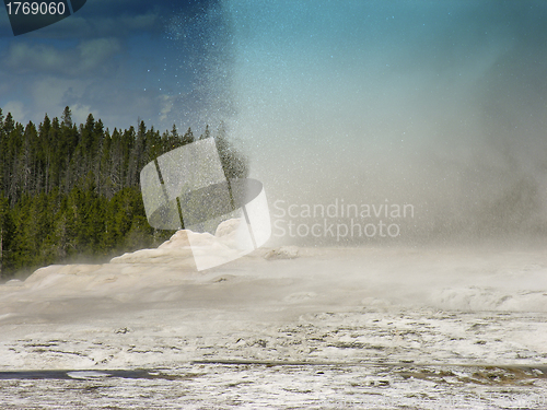 Image of Old Faithful, Yellowstone National Park