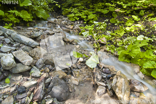 Image of Flowing Water, Dolomites