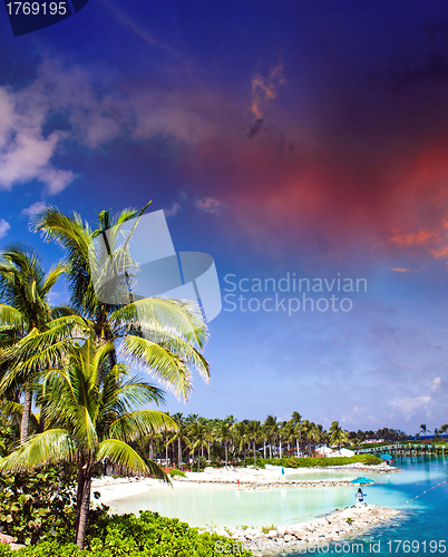 Image of Cloudy Sky above Nassau Vegetation, Bahamas