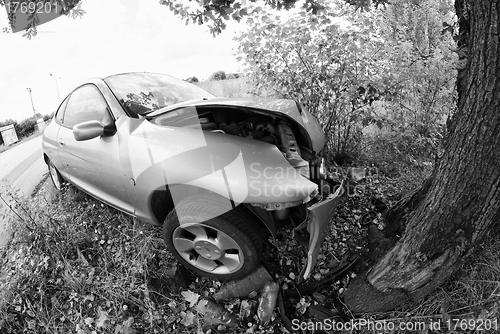 Image of Car against a Tree, Italy