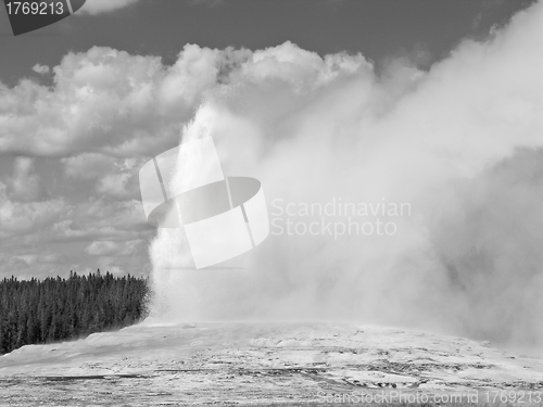 Image of Old Faithful, Yellowstone National Park