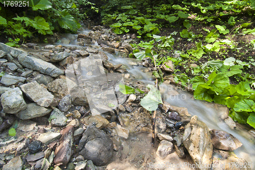 Image of Flowing Water, Dolomites