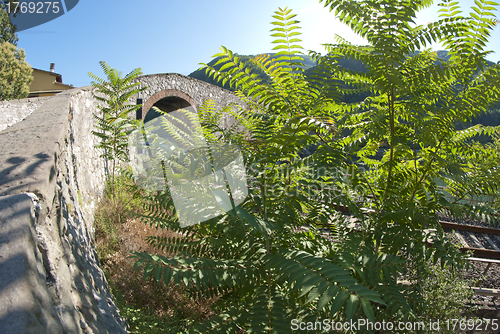 Image of Devils Bridge Fisheye View, Lucca
