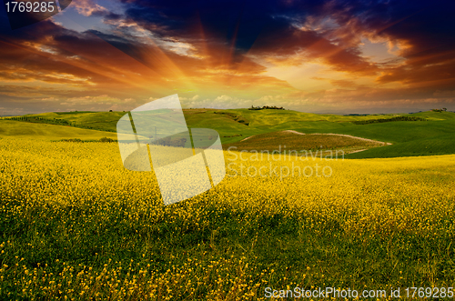 Image of Landscape and Meadows of Tuscany, Spring Season