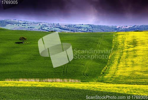 Image of Landscape and Meadows of Tuscany, Spring Season