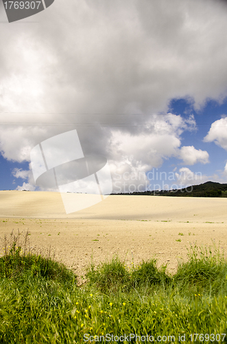 Image of Meadows Colors of Tuscan Spring