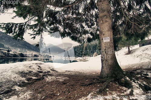 Image of Vegetation over Lake of Auronzo, Italy