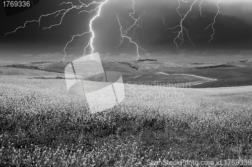 Image of Stormy weather above Tuscan Meadow, spring time
