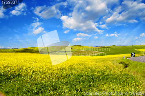 Image of Countryside Landscape with Fields and Meadows