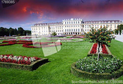 Image of Gardens and Flowers In Schoenbrunn Castle, Vienna