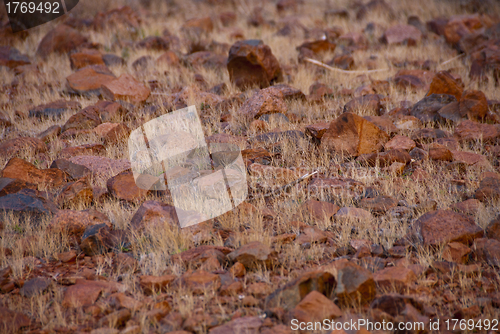 Image of Australian Outback