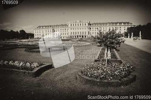 Image of Gardens and Flowers inside Schonbrunn Castle