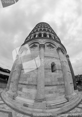 Image of Leaning Tower of Pisa in Miracle Square, Fisheye View