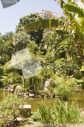 Image of garden with pond Monte Carlo Monaco