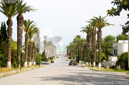 Image of Rue Dag Hammarskjoeld road Carthage-Hannibal Tunis Tunisia  to M