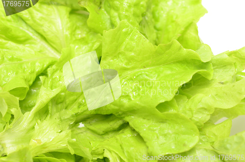 Image of salad