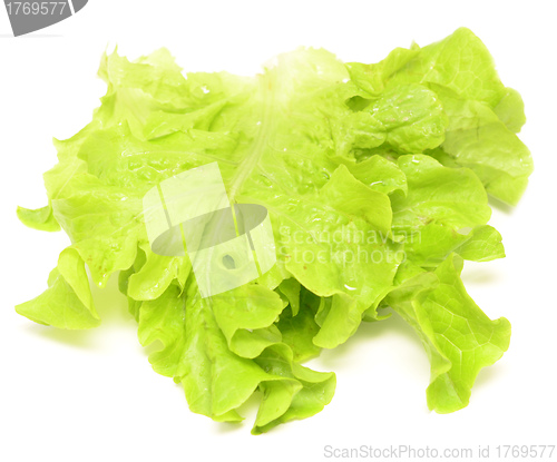 Image of salad