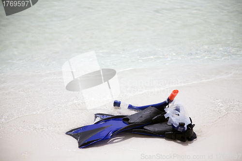 Image of Snorkeling equipment