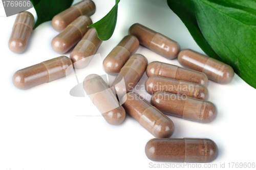 Image of A lot of brown capsules on white background