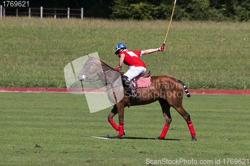 Image of Polo player
