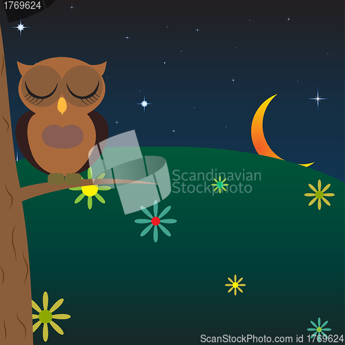 Image of owl sleeps in a tree