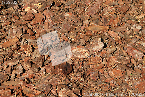 Image of Wood bark chips
