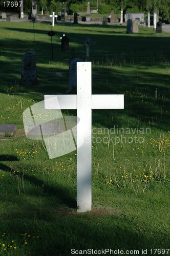 Image of White Cross