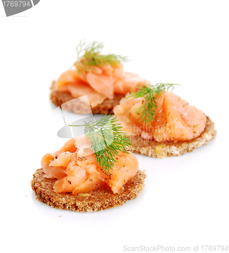 Image of delicious appetizers with salmon 