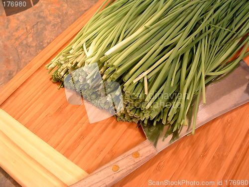Image of Chopping Chives