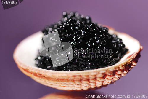 Image of Black caviar