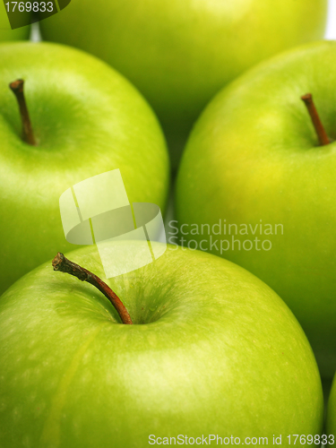 Image of fresh green apples 