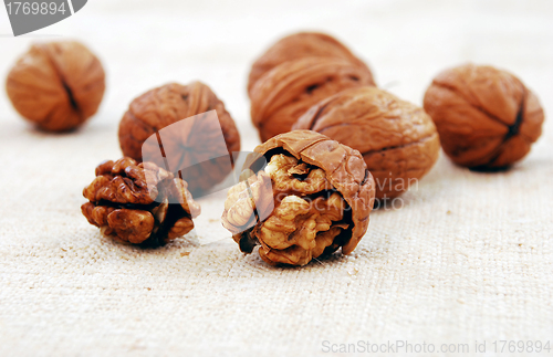Image of wallnuts close-up 