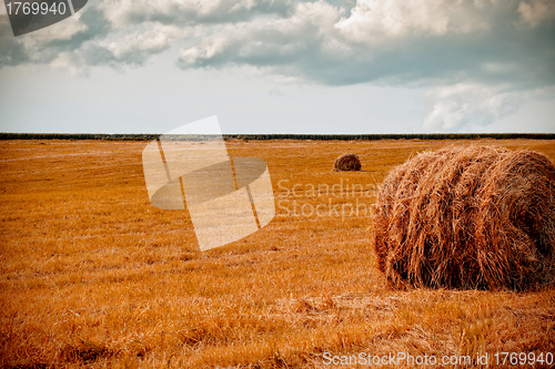 Image of hay bale in the foreground of rural field 