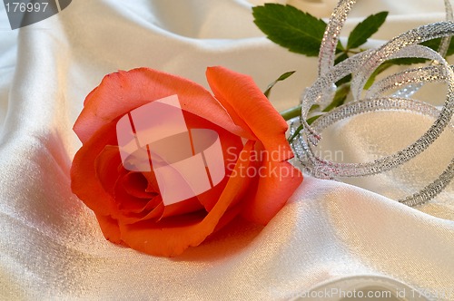 Image of Red rose