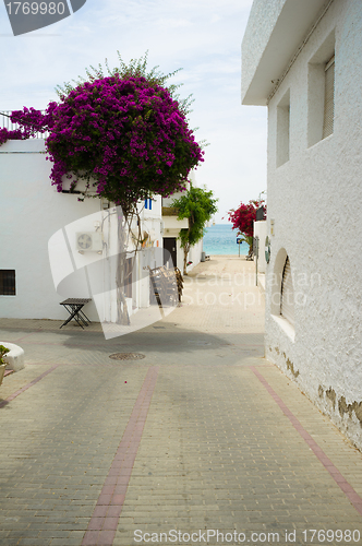 Image of Andalusian village