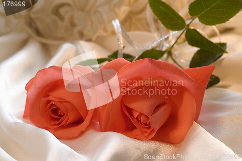 Image of Red rose