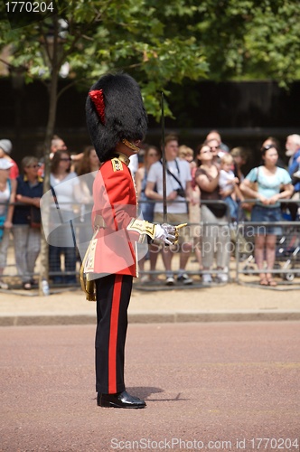 Image of Trooping of the Colour, London 2006