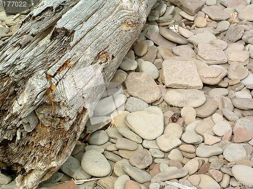 Image of Driftwood and Stones