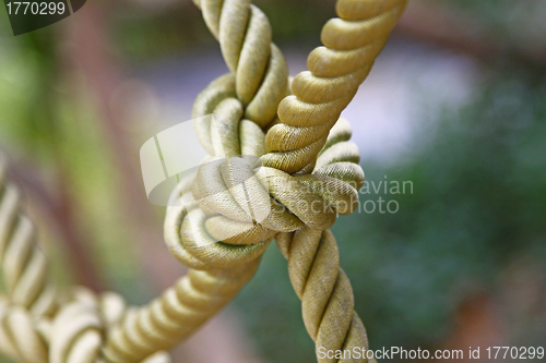 Image of Ship rope with knot