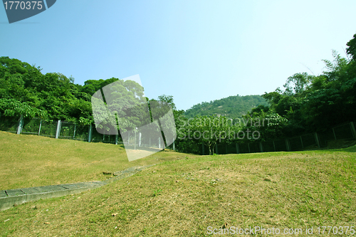 Image of Grassland at day
