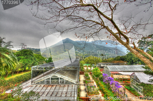 Image of Greenhouse in countryside of Hong Kong, HDR image.