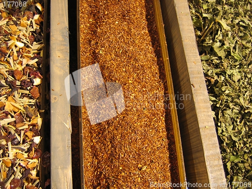 Image of ROWS OF DRIED TEA LEAVES