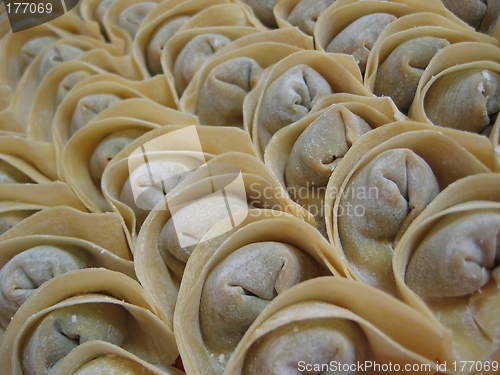 Image of Food - Rows Of Chinese Dumpling Or Wanton